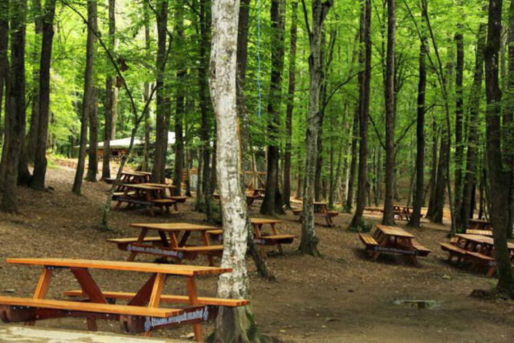 Belgrad Ormanı (Piknik Alanı)