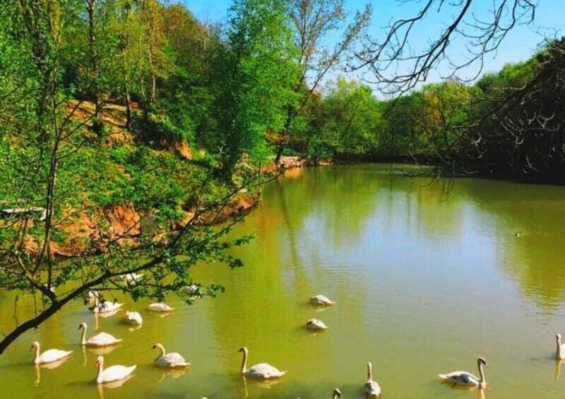 Polonezköy Tabiat Parkı