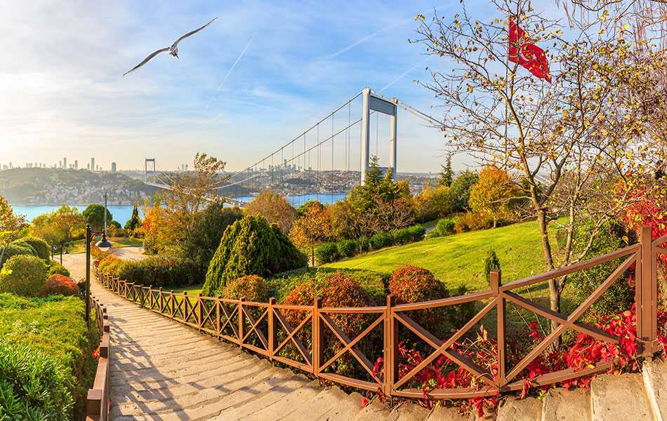 Otağtepe (Fatih Korusu)