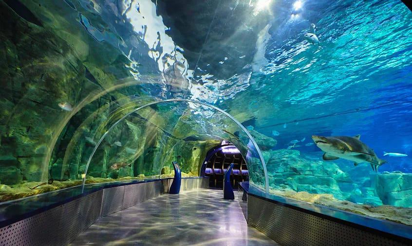 İstanbul Akvaryum